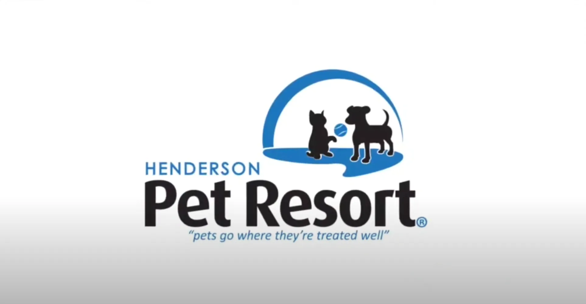 Dog grooming no appointment deals